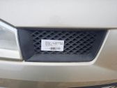 Front grill