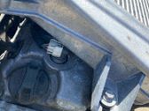 Inyector de combustible