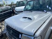 Engine bonnet/hood
