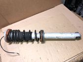 Rear shock absorber with coil spring