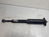 Rear shock absorber/damper