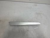 Rear door card trim