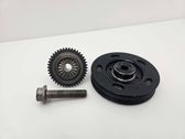 Crankshaft pulley