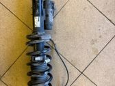 Front shock absorber with coil spring