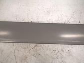Front door trim (molding)