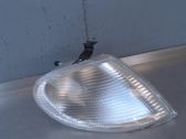 Front fender indicator light