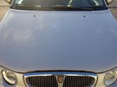 Engine bonnet/hood