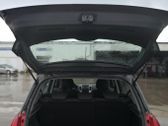 Tailgate/trunk strut/damper