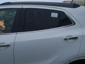 Rear door window glass