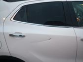 Rear door window glass
