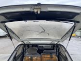 Tailgate/trunk strut/damper