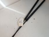 Tailgate/trunk strut/damper