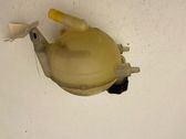 Coolant expansion tank/reservoir cap