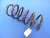 Front coil spring