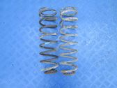 Rear coil spring