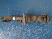 Front shock absorber with coil spring