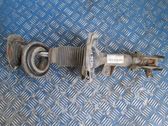 Front shock absorber with coil spring