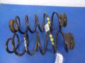 Muelle espiral trasero