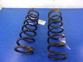 Rear coil spring