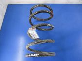 Front coil spring