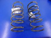 Rear coil spring