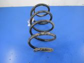 Front coil spring