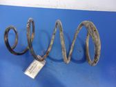 Front coil spring