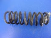 Rear coil spring