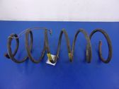 Front coil spring