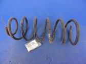 Front coil spring