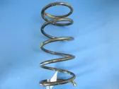 Front coil spring