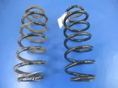 Rear coil spring