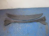 Moldura del limpia