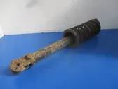 Rear shock absorber with coil spring