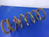 Rear coil spring