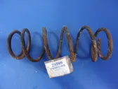 Rear coil spring