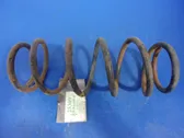 Rear coil spring