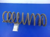 Front coil spring