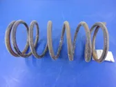 Front coil spring