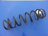 Front coil spring