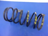 Front coil spring