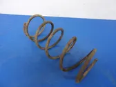 Rear coil spring