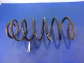 Front coil spring