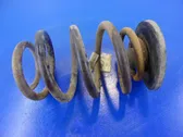 Rear coil spring