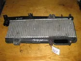 Intercooler radiator