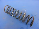 Front coil spring