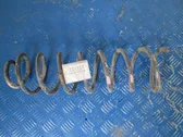 Front coil spring