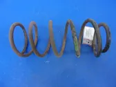 Front coil spring