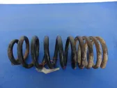 Rear coil spring