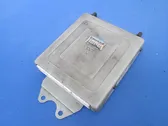 Engine control unit/module ECU